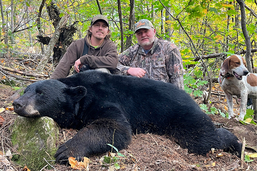 Bear Hunts with Dogs in Maine