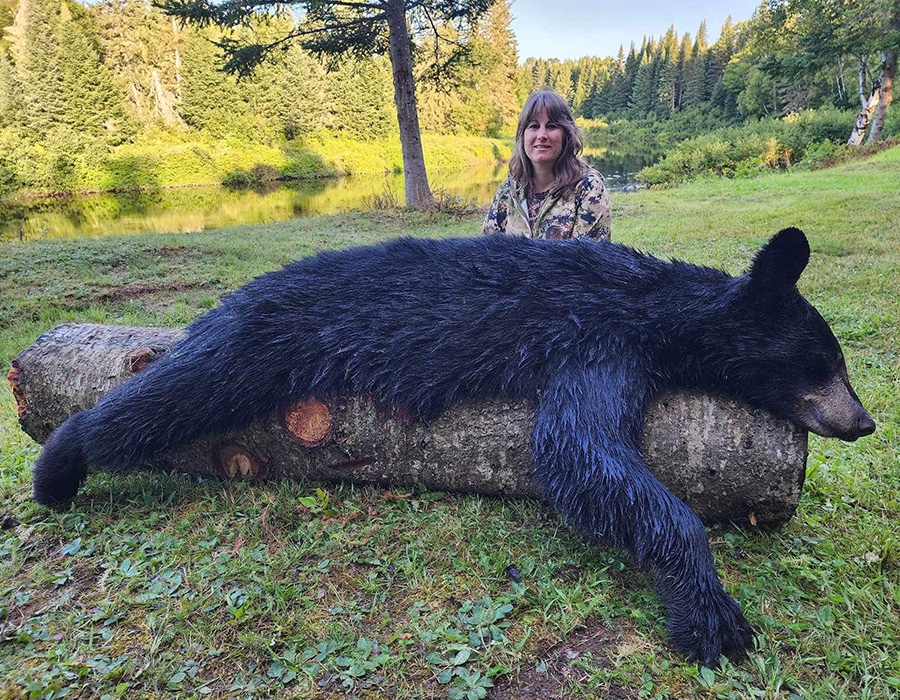 Black Bear Hunts Maine