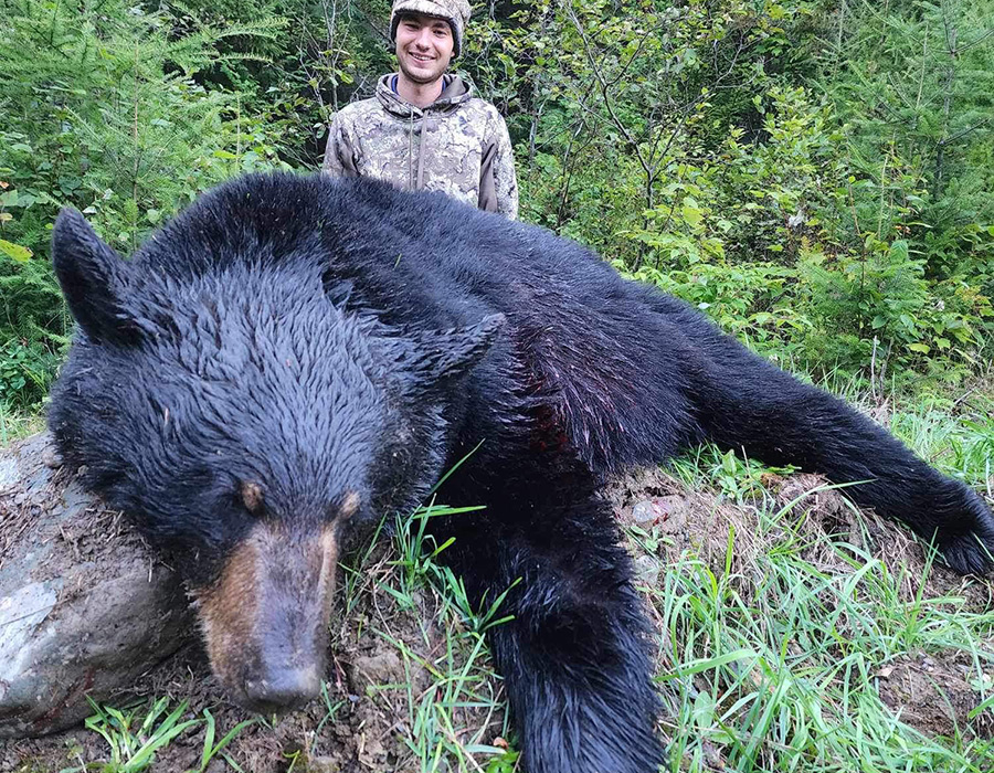 Fall Black Bear Hunts