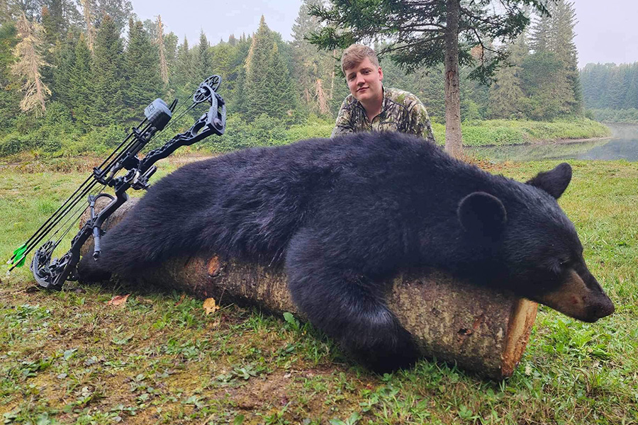 Maine Black Bear Archery Hunting