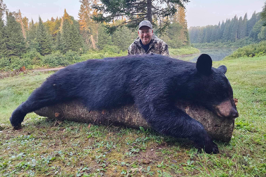 Trophy Black Bear Hunting in Maine