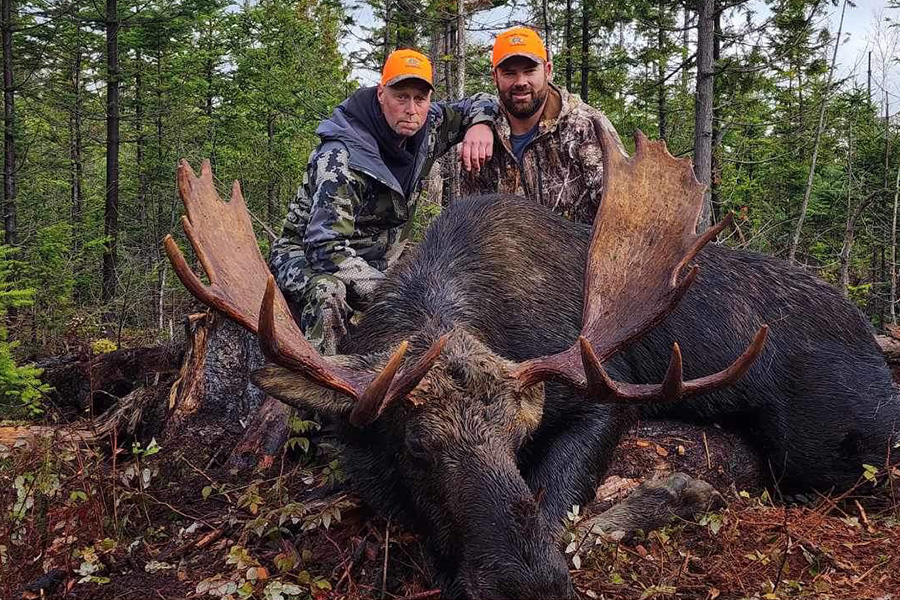 Moose Hunts in Maine